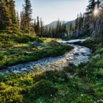 jachan-devol-525100-unsplash